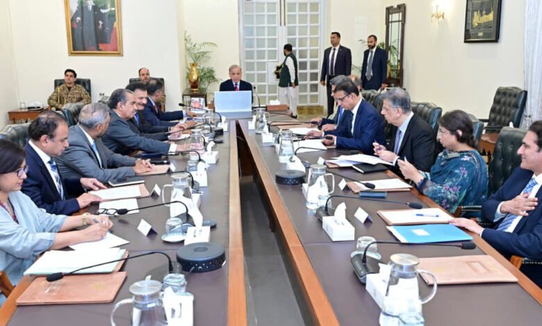 نجی سرمایہ کاری ہی پاکستان کی پائیدار معاشی ترقی کی ضامن، پرائیویٹ ایکویٹی فنڈ کے قیام اور سرمایہ کاری کے نئے نظام کے لیے جامع روڈ میپ تیار کیا جائے: وزیراعظم شہباز شریف