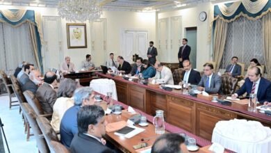 نیشنل یوتھ ایمپلائمنٹ پالیسی پر عملدرآمد تیز کرنے کا فیصلہ، وزیراعظم کی نوجوانوں کے لیے روزگار کے مواقع بڑھانے کی ہدایت