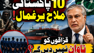 پاکستان کا صومالی قزاقوں کے ہاتھوں یرغمال 10 ملاحوں کی رہائی کے لیے تاوان نہ دینے کا مؤقف، اسحاق ڈار کی آئی ایم او حکام سے اہم ملاقات
