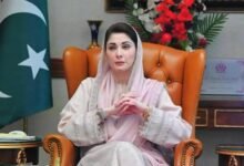 پاکستان ہر مذہب اور عقیدے کے ماننے والوں کو برابر کا احترام دیتا ہے،پاکستان کے سبز ہلالی پرچم میں سفید رنگ مختلف مذاہب کی نمائندگی ہے،مریم نواز شریف