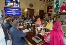 وزیراعلیٰ پنجاب کا مقامی اور غیر ملکی سرمایہ کاروں کے لیے خصوصی مراعاتی پیکج کا اعلان، گرین انڈسٹریل اکنامک زون کے قیام کی منظوری
