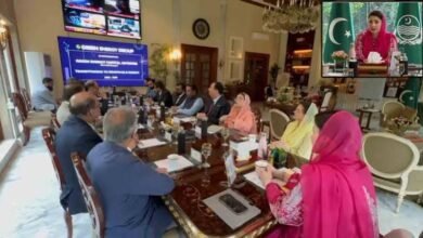 وزیراعلیٰ پنجاب کا مقامی اور غیر ملکی سرمایہ کاروں کے لیے خصوصی مراعاتی پیکج کا اعلان، گرین انڈسٹریل اکنامک زون کے قیام کی منظوری