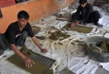 پاکستان میں نسوار کو ٹیکس نیٹ میں شامل کرنے، تصویری انتباہ لازمی قرار دینے اور انسدادِ تمباکو قوانین کے دائرہ کار میں لانے کا مطالبہ
