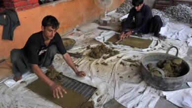 پاکستان میں نسوار کو ٹیکس نیٹ میں شامل کرنے، تصویری انتباہ لازمی قرار دینے اور انسدادِ تمباکو قوانین کے دائرہ کار میں لانے کا مطالبہ