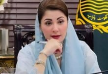 ہر پاکستانی تعمیرِ وطن میں اپنا کردار ادا کرے: مریم نواز