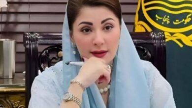 ہر پاکستانی تعمیرِ وطن میں اپنا کردار ادا کرے: مریم نواز