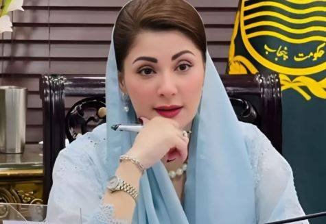 ہر پاکستانی تعمیرِ وطن میں اپنا کردار ادا کرے: مریم نواز