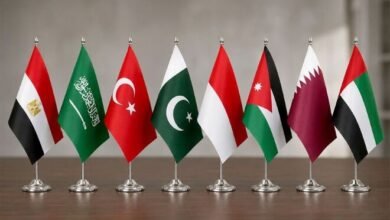 پاکستان سمیت 8 مسلم ممالک کا برطانیہ کی اسرائیلی بستیوں سے درآمدات پر پابندی کے فیصلے کا خیرمقدم
