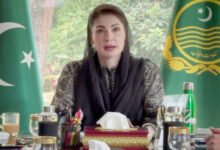 پنجاب کو صاف، سرسبز اور صحت مند بنانا اولین ترجیح، ’صفائی حکومت کی ذمہ داری، برقرار رکھنا شہریوں کا فرض‘: مریم نواز