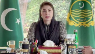 پنجاب کو صاف، سرسبز اور صحت مند بنانا اولین ترجیح، ’صفائی حکومت کی ذمہ داری، برقرار رکھنا شہریوں کا فرض‘: مریم نواز