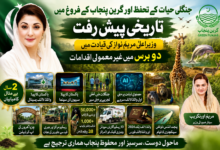 جنگلی حیات کے تحفظ اور گرین پنجاب کے فروغ میں تاریخی پیش رفت، وزیراعلیٰ مریم نواز کی قیادت میں دو برس میں غیر معمولی اقدامات: مریم اورنگزیب