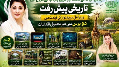 جنگلی حیات کے تحفظ اور گرین پنجاب کے فروغ میں تاریخی پیش رفت، وزیراعلیٰ مریم نواز کی قیادت میں دو برس میں غیر معمولی اقدامات: مریم اورنگزیب