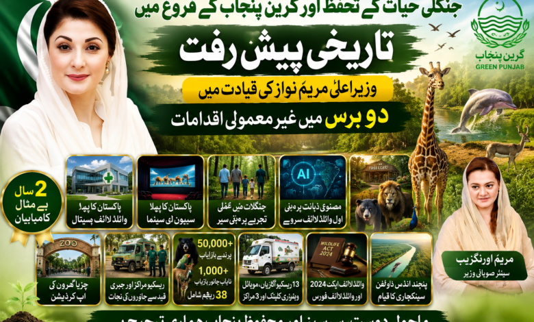 جنگلی حیات کے تحفظ اور گرین پنجاب کے فروغ میں تاریخی پیش رفت، وزیراعلیٰ مریم نواز کی قیادت میں دو برس میں غیر معمولی اقدامات: مریم اورنگزیب
