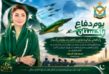 یومِ فضائیہ: وزیراعلیٰ مریم نواز شریف کا پاک فضائیہ کے شہداء، غازیوں اور شاہینوں کو سلام