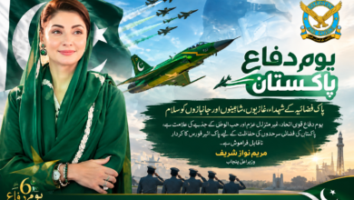 یومِ فضائیہ: وزیراعلیٰ مریم نواز شریف کا پاک فضائیہ کے شہداء، غازیوں اور شاہینوں کو سلام