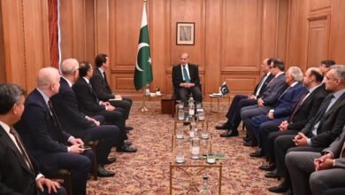 وزیراعظم شہباز شریف کی لندن میں عالمی مالیاتی اداروں کے اعلیٰ حکام سے اہم ملاقاتیں