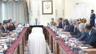 وزیراعظم شہباز شریف کا تجارتی عمل آسان بنانے، برآمدات بڑھانے اور کاروباری لاگت کم کرنے پر زور