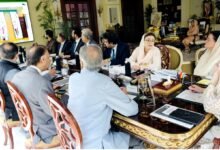 فیک نیوز اور کردار کشی کو سیاست کا ہتھیار بنانے والوں کو عدالت میں جواب دینا ہوگا: عظمیٰ بخاری