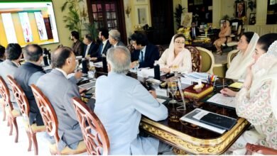 فیک نیوز اور کردار کشی کو سیاست کا ہتھیار بنانے والوں کو عدالت میں جواب دینا ہوگا: عظمیٰ بخاری
