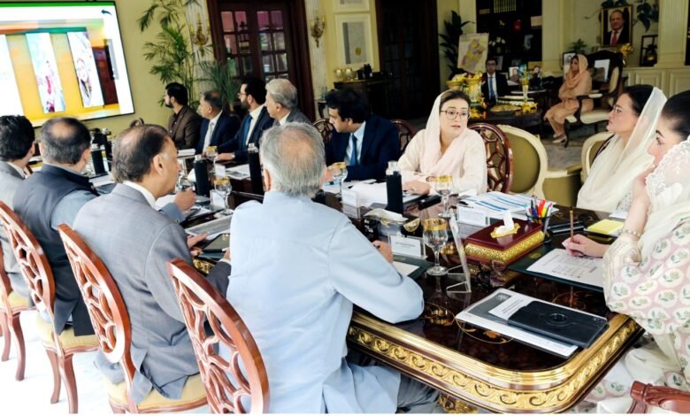 فیک نیوز اور کردار کشی کو سیاست کا ہتھیار بنانے والوں کو عدالت میں جواب دینا ہوگا: عظمیٰ بخاری