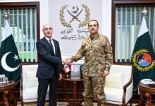 لبنان کے وزیر داخلہ کی فیلڈ مارشل سید عاصم منیر سے ملاقات، سیکیورٹی تعاون اور ادارہ جاتی روابط مضبوط بنانے پر اتفاق