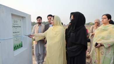 سیکریٹری EP&CCD نے UOL کے میاواکی فاریسٹ کا افتتاح کر دیا؛ ماحولیاتی تحفظ اور موسمیاتی اقدامات کے لیے یونیورسٹی آف لاہور کے ساتھ مفاہمتی یادداشت پر دستخط