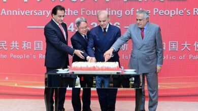 عالمی امن، استحکام اور ترقی میں چین کا کردار انتہائی اہم ہے: وزیراعظم شہباز شریف