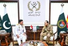 پاکستان اور لبنان کا سکیورٹی تعاون بڑھانے پر اتفاق، دہشت گردی، منشیات اور سائبر کرائمز کے خلاف مشترکہ اقدامات پر زور