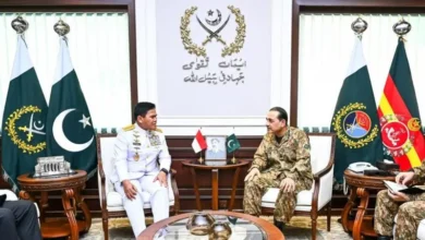 پاکستان اور لبنان کا سکیورٹی تعاون بڑھانے پر اتفاق، دہشت گردی، منشیات اور سائبر کرائمز کے خلاف مشترکہ اقدامات پر زور