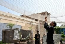 خیبر پختونخوا میں ڈرون حملوں کا بڑھتا خطرہ، پولیس نے یوکرین سے متاثرہ حفاظتی جال نصب کر دیے