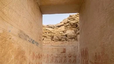 مصر میں 4,300 سال پرانے جج کا مقبرہ دریافت، قدیم مصری عدالتی اور معاشرتی زندگی کے نادر شواہد سامنے آگئے