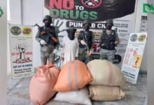 پنجاب میں منشیات فروشوں کے خلاف کریک ڈاؤن تیز، تین ہفتوں میں 140 ملزمان گرفتار، 325 کلوگرام منشیات برآمد