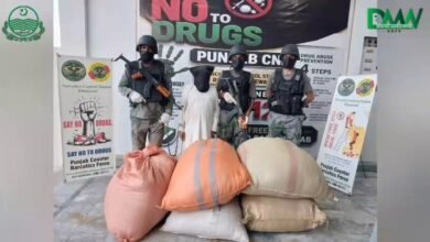 پنجاب میں منشیات فروشوں کے خلاف کریک ڈاؤن تیز، تین ہفتوں میں 140 ملزمان گرفتار، 325 کلوگرام منشیات برآمد