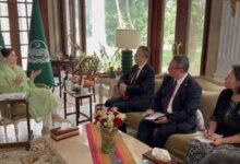 وزیراعلیٰ مریم نواز شریف سے ایشین ڈویلپمنٹ بینک کے نائب صدر کی ملاقات، پنجاب میں ترقیاتی تعاون مزید بڑھانے پر اتفاق