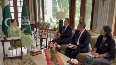 وزیراعلیٰ مریم نواز شریف سے ایشین ڈویلپمنٹ بینک کے نائب صدر کی ملاقات، پنجاب میں ترقیاتی تعاون مزید بڑھانے پر اتفاق
