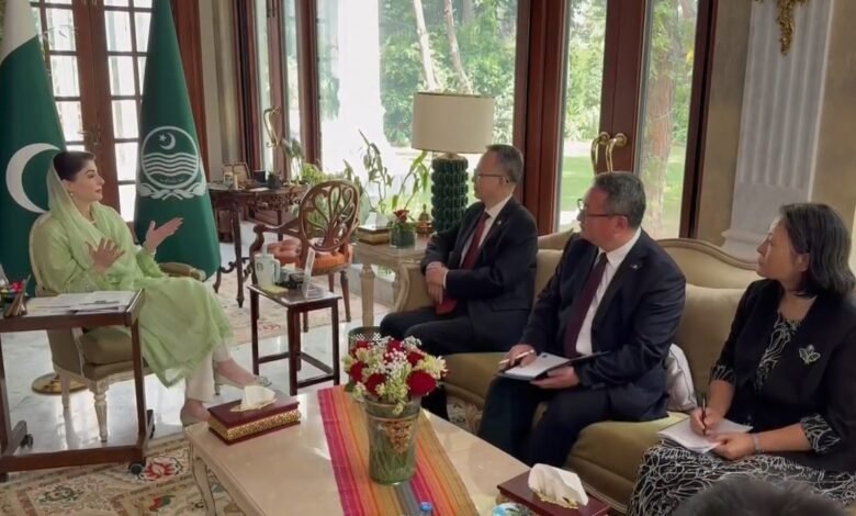وزیراعلیٰ مریم نواز شریف سے ایشین ڈویلپمنٹ بینک کے نائب صدر کی ملاقات، پنجاب میں ترقیاتی تعاون مزید بڑھانے پر اتفاق