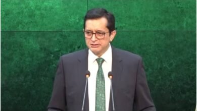 مکہ مکرمہ کو نشانہ بنانے کی کوشش کی پاکستان نے شدید مذمت کردی