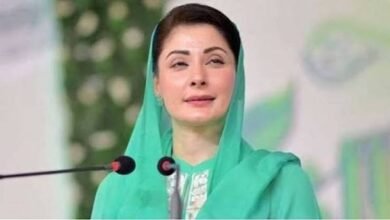 وزیراعلیٰ مریم نواز شریف کا قیام امن کیلئے سرحدوں کی حفاظت پر مامور افواج پاکستان کے افسروں اور اہلکاروں کے جذبے اور قربانیوں کو سلام