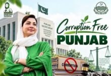 پنجاب میں کرپشن کے خلاف ’فیصلہ کن جنگ‘، بڑی مچھلیوں کے احتساب پر سوالات