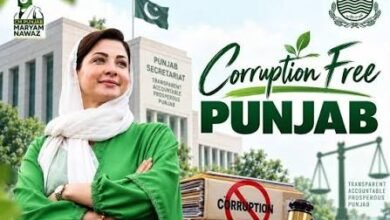 پنجاب میں کرپشن کے خلاف ’فیصلہ کن جنگ‘، بڑی مچھلیوں کے احتساب پر سوالات