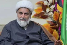 27 ستمبر کا لانگ مارچ صرف بانی پی ٹی آئی ملتوی کرسکتے ہیں، فیصلہ ان ہی کا ہوگا: راجہ ناصر عباس