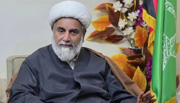 27 ستمبر کا لانگ مارچ صرف بانی پی ٹی آئی ملتوی کرسکتے ہیں، فیصلہ ان ہی کا ہوگا: راجہ ناصر عباس