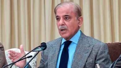 وزیراعظم شہباز شریف کی جارجیا میلونی کو مبارکباد، پاکستان اور اٹلی کے تعلقات مزید مضبوط بنانے کے عزم کا اظہار