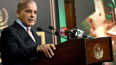 خیبر پختونخوا میں پی ٹی آئی کے 13 سالہ دورِ حکومت میں عوامی مسائل حل نہیں ہوئے، شہباز شریف