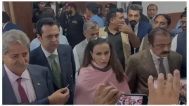 مذاکرات میں کئی نکات پر اتفاق ہوا، معاہدے کے بعد چار مرتبہ مسودہ تبدیل کیا گیا: شیری رحمان