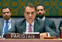 پاکستان کی حوثی حملوں کی مذمت، باب المندب میں تجارتی جہاز رانی کو لاحق خطرات پر تشویش