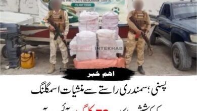 پسنی میں اے این ایف کا بڑا آپریشن، 72 کلوگرام آئس برآمد؛ سمندری راستے سے بیرونِ ملک اسمگلنگ کی کوشش ناکام