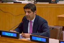 پاکستان کا اقوام متحدہ میں انسانی حقوق پر مبنی انسدادِ دہشت گردی فریم ورک کا مطالبہ، سرحد پار ہلاکتوں اور دہشت گرد نیٹ ورکس کے احتساب پر زور