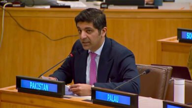 پاکستان کا اقوام متحدہ میں انسانی حقوق پر مبنی انسدادِ دہشت گردی فریم ورک کا مطالبہ، سرحد پار ہلاکتوں اور دہشت گرد نیٹ ورکس کے احتساب پر زور