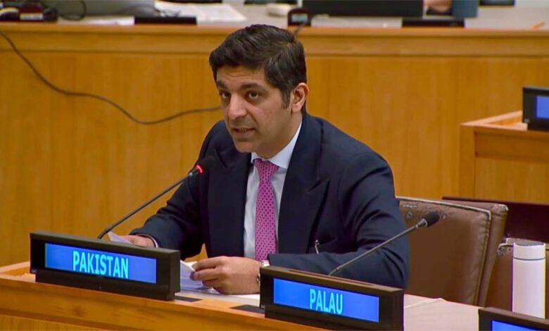 پاکستان کا اقوام متحدہ میں انسانی حقوق پر مبنی انسدادِ دہشت گردی فریم ورک کا مطالبہ، سرحد پار ہلاکتوں اور دہشت گرد نیٹ ورکس کے احتساب پر زور